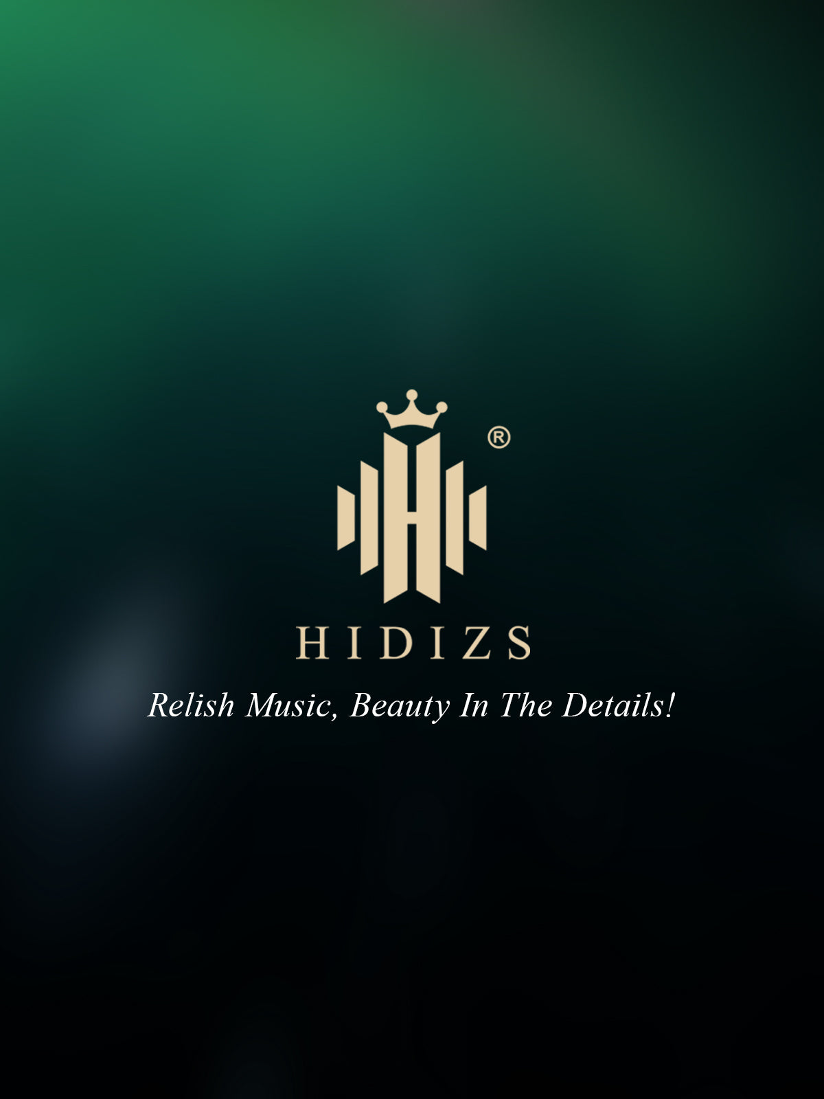 HIDIZS-LT02-M-23031102